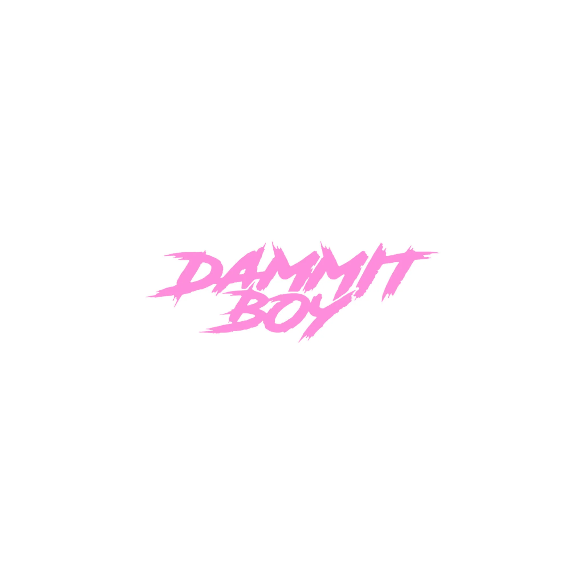 SMALL "DAMMIT BOY" DECAL - Image 15