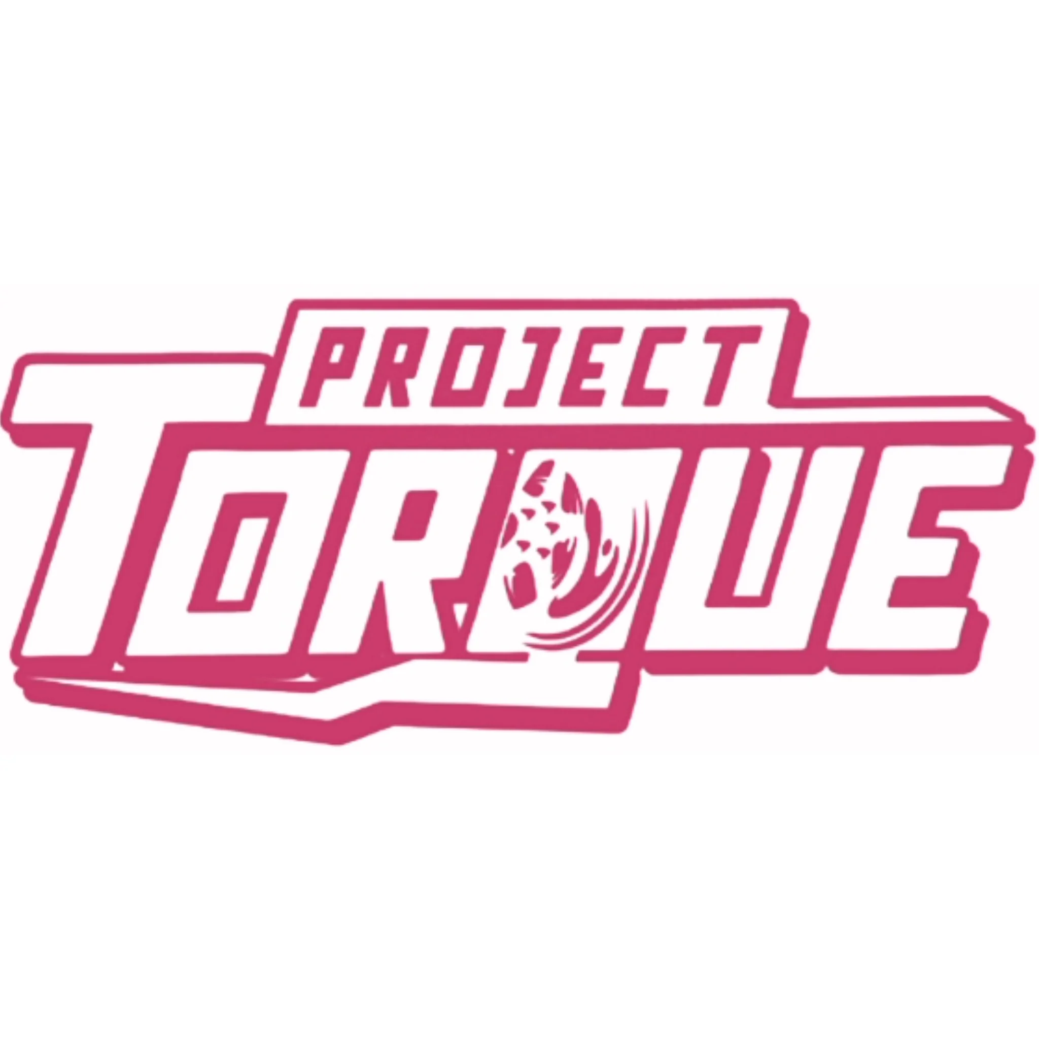 PROJECT TORQUE OUTLINE DECAL - Image 10