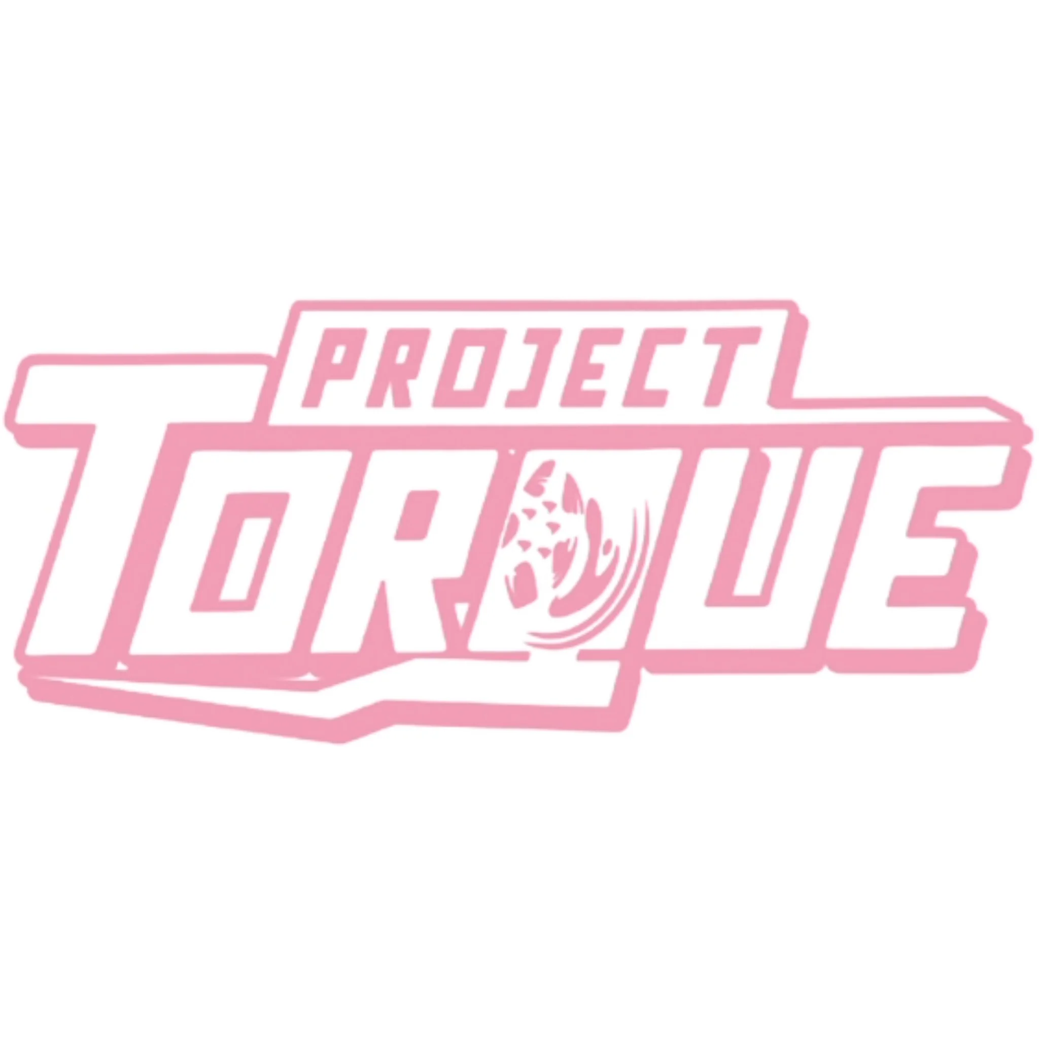 PROJECT TORQUE OUTLINE DECAL - Image 13
